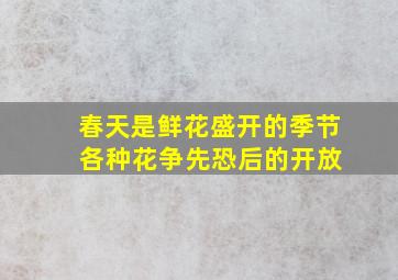 春天是鲜花盛开的季节 各种花争先恐后的开放